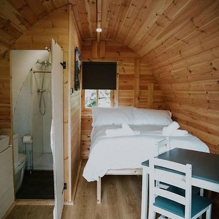 Pine Cosy Winter Cabin - Hot Tub & Log Burner Apartment Barmouth Exterior photo