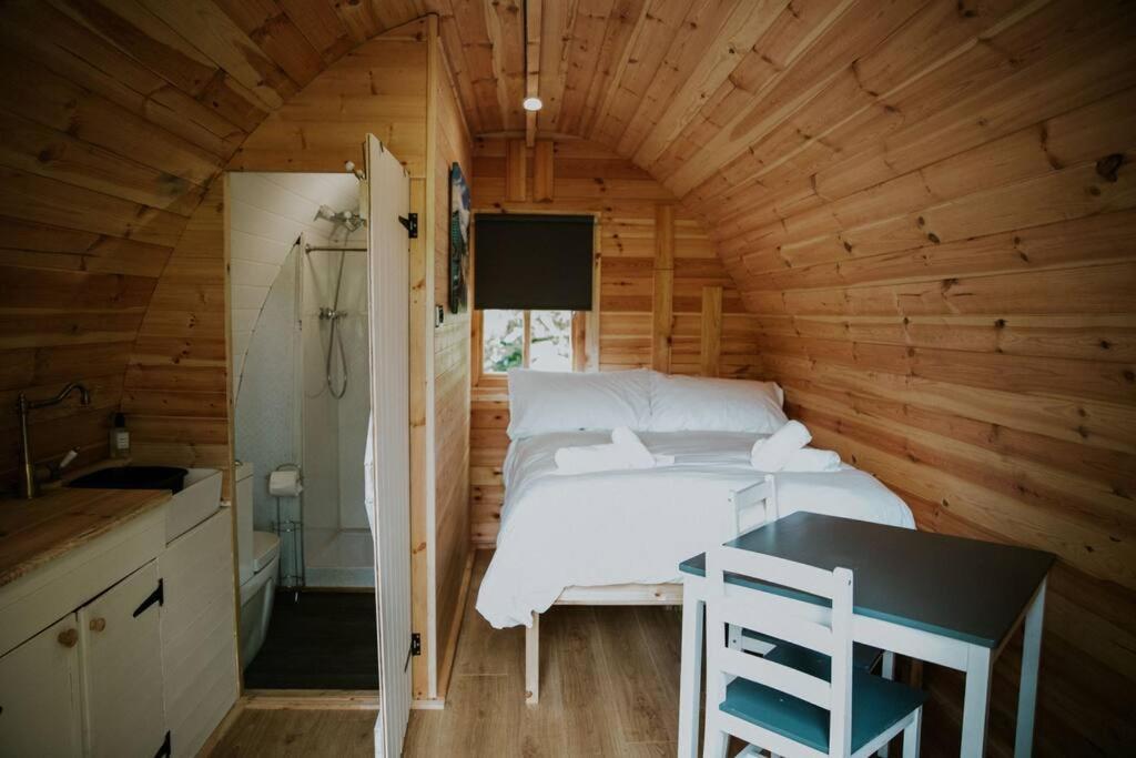 Pine Cosy Winter Cabin - Hot Tub & Log Burner Apartment Barmouth Exterior photo
