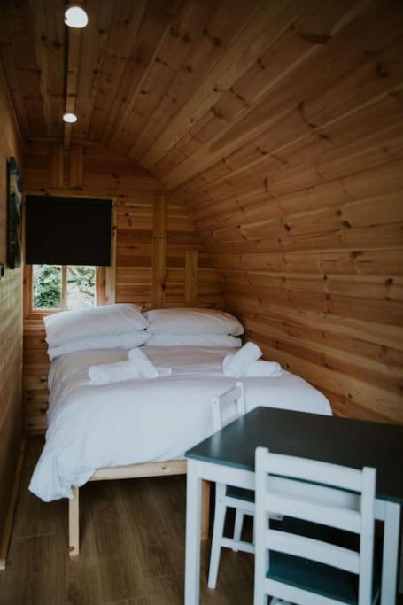 Pine Cosy Winter Cabin - Hot Tub & Log Burner Apartment Barmouth Exterior photo