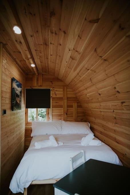 Pine Cosy Winter Cabin - Hot Tub & Log Burner Apartment Barmouth Exterior photo